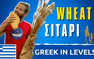 Wheat – Σιτάρι | Greek in Levels #8