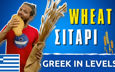 Wheat – Σιτάρι | Greek in Levels #8￼